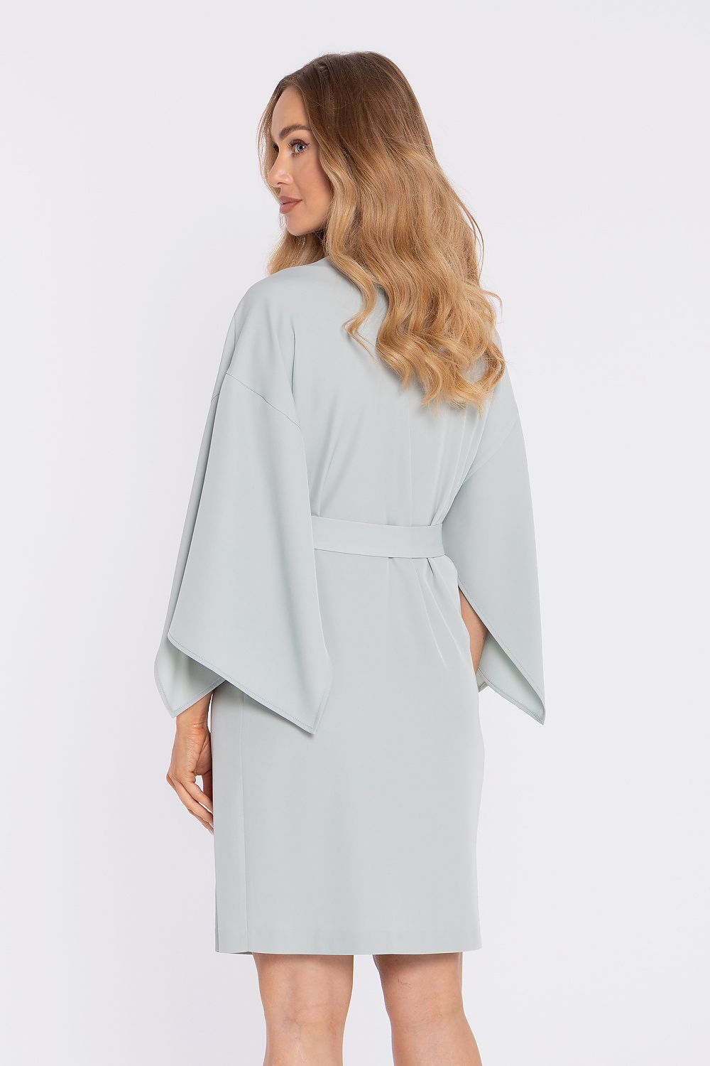  occasion dress flowing sleeves
