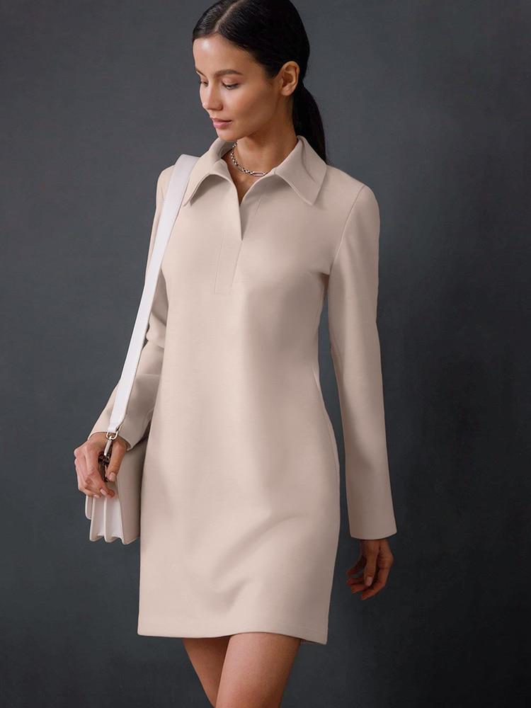 Simple Office Mini Dress With Collar