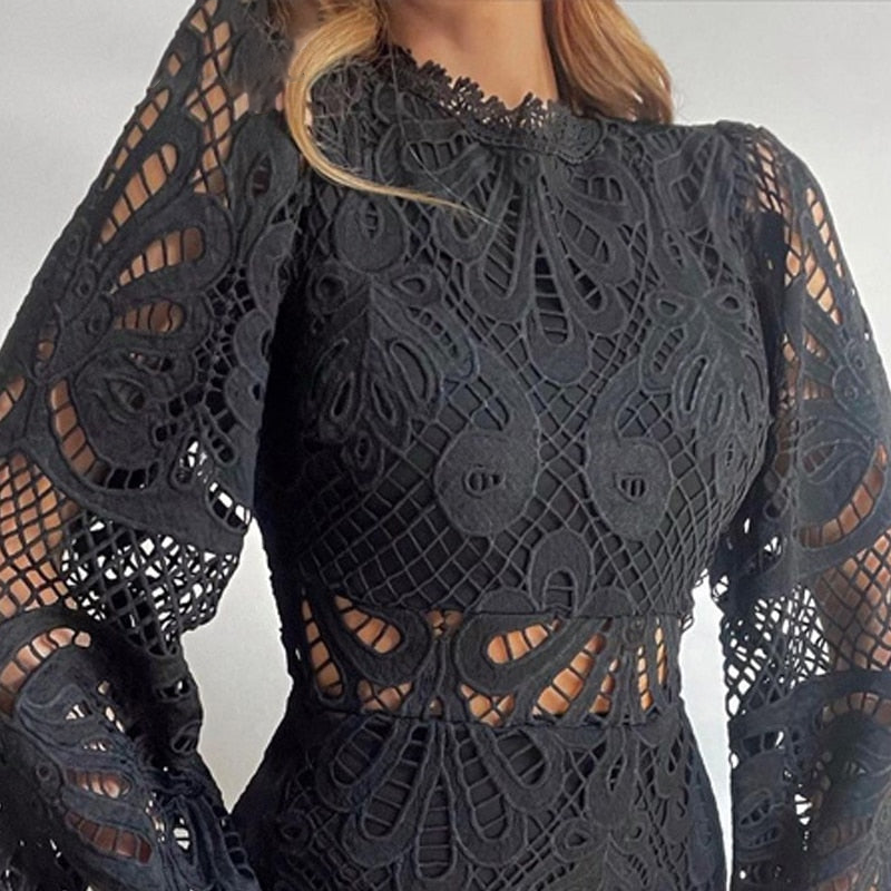 Solid Lace Dress With Lantern Sleeves