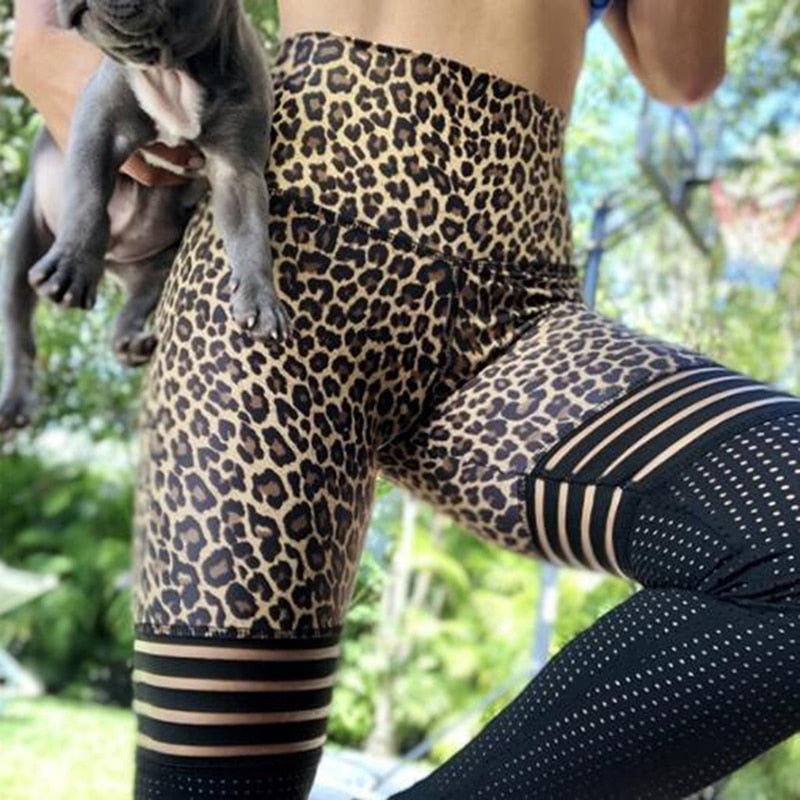 Women's Leopard Print & Mesh Fitness Leggings
