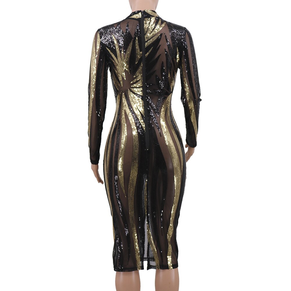 See-Through Mesh Bodycon Dress With Sequins