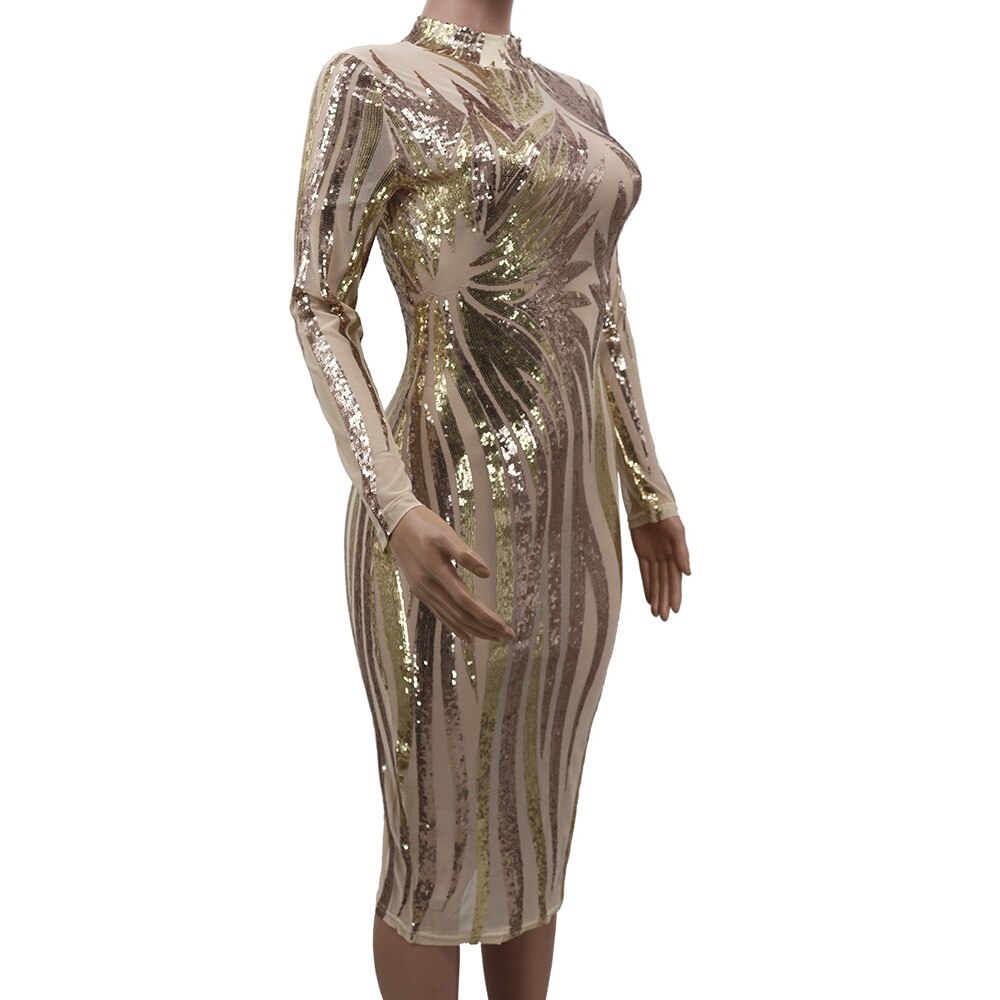 See-Through Mesh Bodycon Dress With Sequins